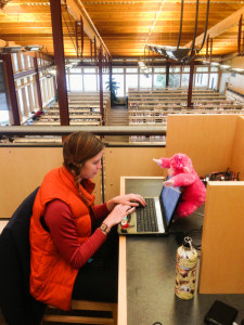 Bozeman Public Library with a pink monkey