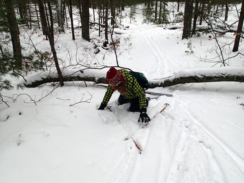 Alyssa v. tree roots on skis