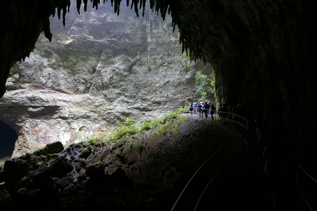 See the Caves at Parque de las Cavernas Del Rio Camuy